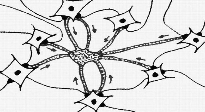 An external file that holds a picture, illustration, etc. Object name is MSM-9-183-g003.jpg