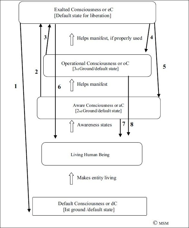 An external file that holds a picture, illustration, etc. Object name is MSM-9-6-g005.jpg An external file that holds a picture, illustration, etc. Object name is MSM-9-6-g005.jpg