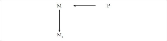 An external file that holds a picture, illustration, etc. Object name is MSM-9-6-g008.jpg An external file that holds a picture, illustration, etc. Object name is MSM-9-6-g008.jpg