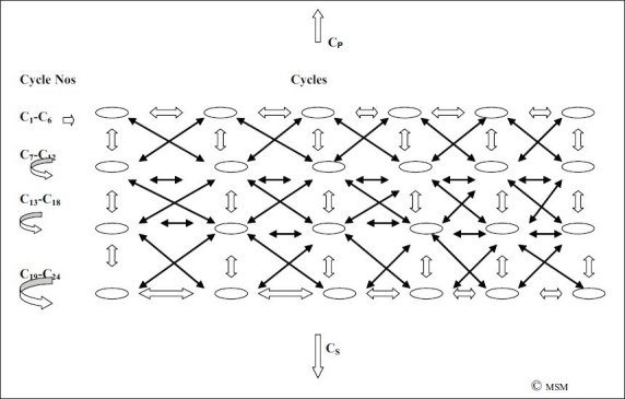 An external file that holds a picture, illustration, etc. Object name is MSM-9-6-g015.jpg An external file that holds a picture, illustration, etc. Object name is MSM-9-6-g015.jpg